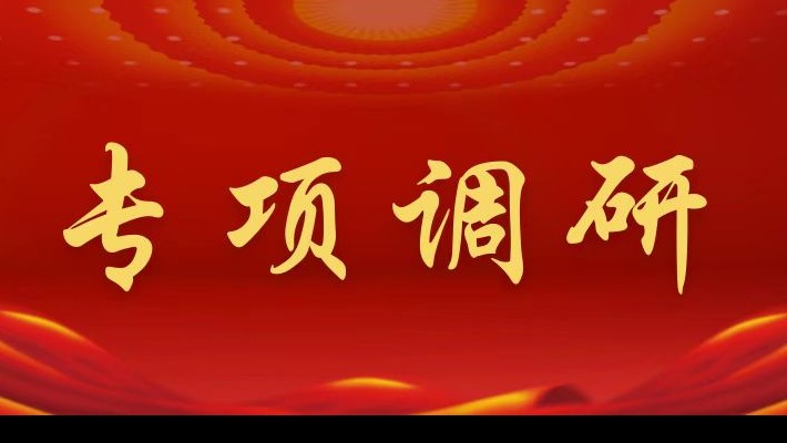 【專項調(diào)研】裝備公司領(lǐng)導(dǎo)班子成員深入蘭峰公司調(diào)研督導(dǎo)年度重點工作推進(jìn)落實情況